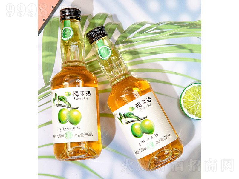 ���ӷ�����÷�Ӿơ�12��295ml��