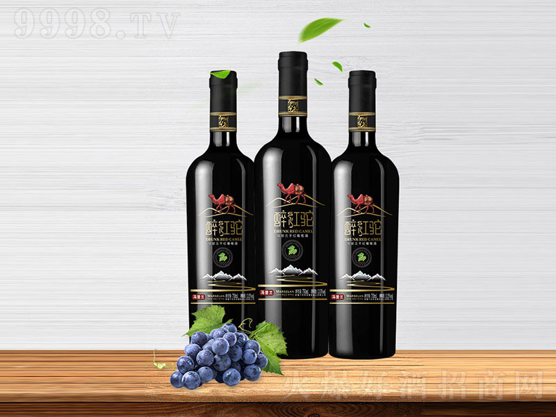 ���t��ЙC��-�Rɪ�m�ɼt���Ѿơ�13.5�� 750ml��