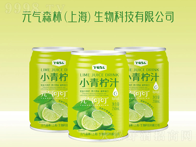 YQSLС����֭Ԫ�ⶣ����250ml��-���������Ϣ
