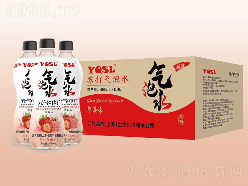 YQSL�K�����ˮ��ݮζ��460ml��15ƿ��